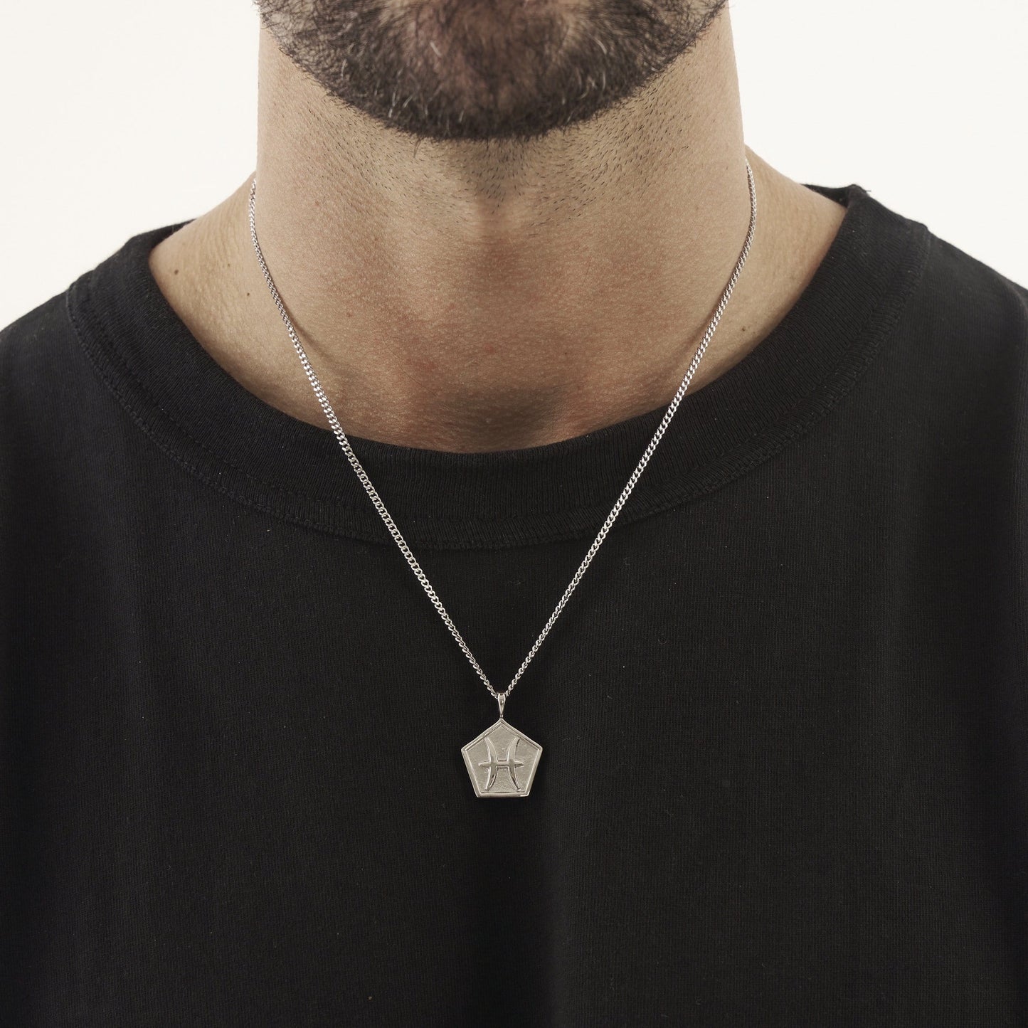 Vissen (Zilver)