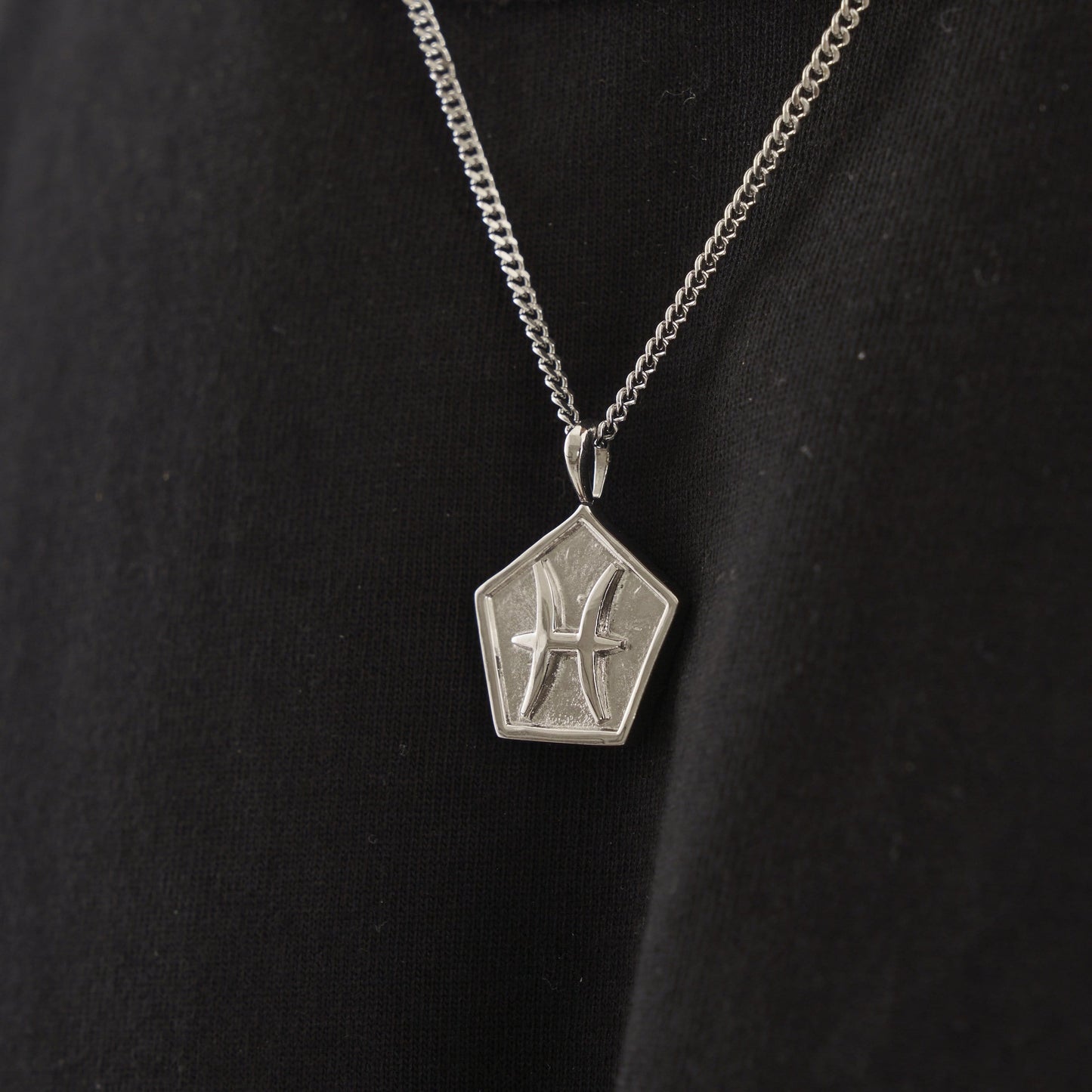 Vissen (Zilver)