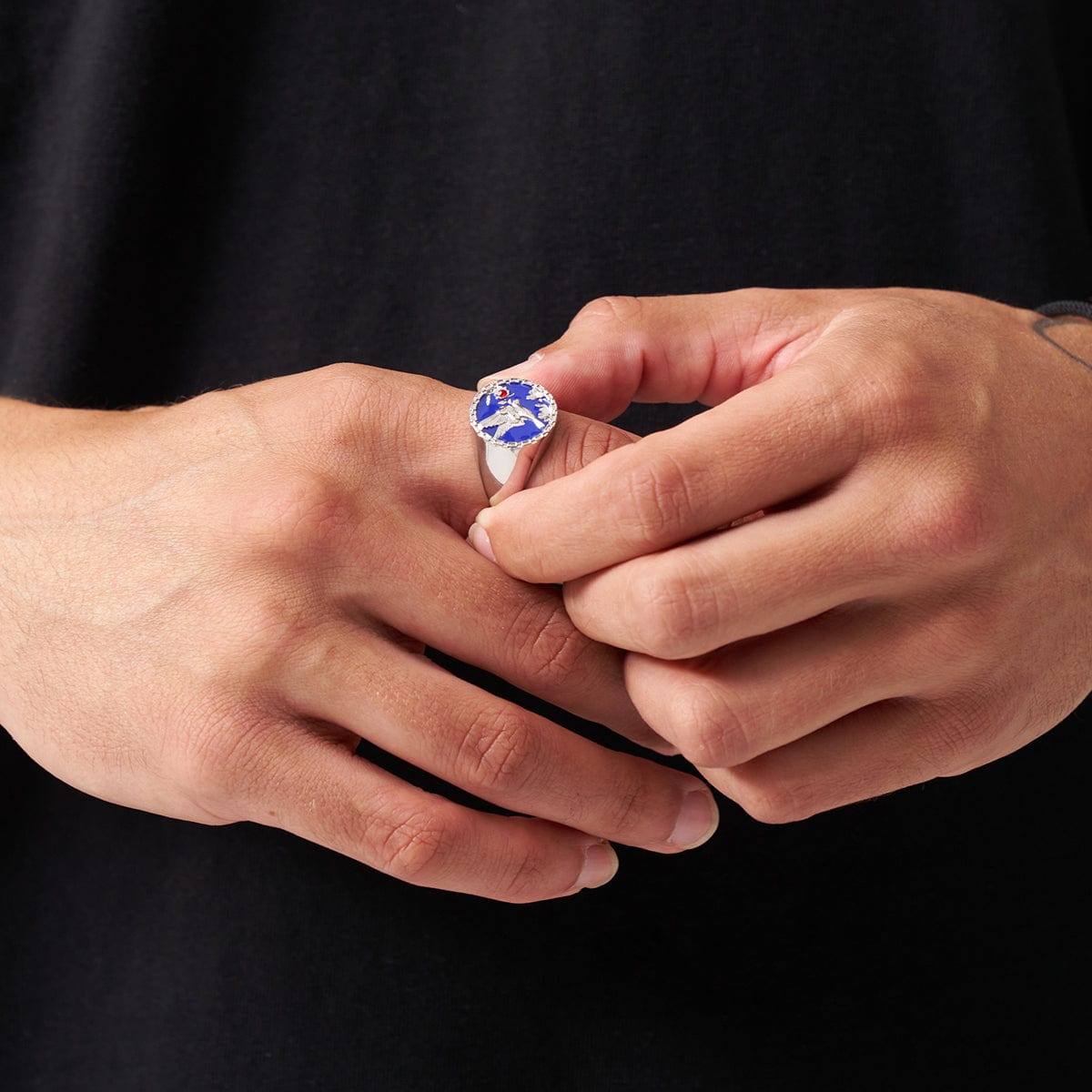 Emaille Zwaluw Signet Ring (Zilver)
