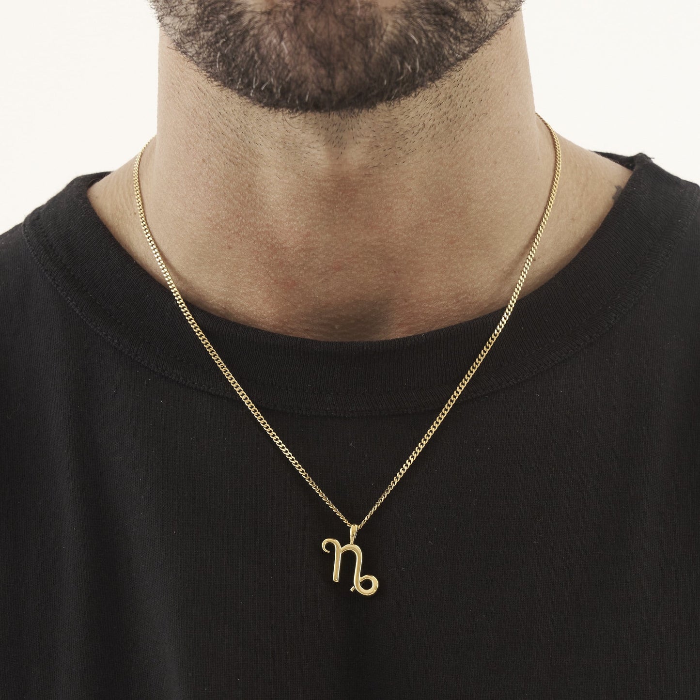 Steenbok (Goud)