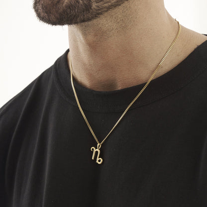 Steenbok (Goud)
