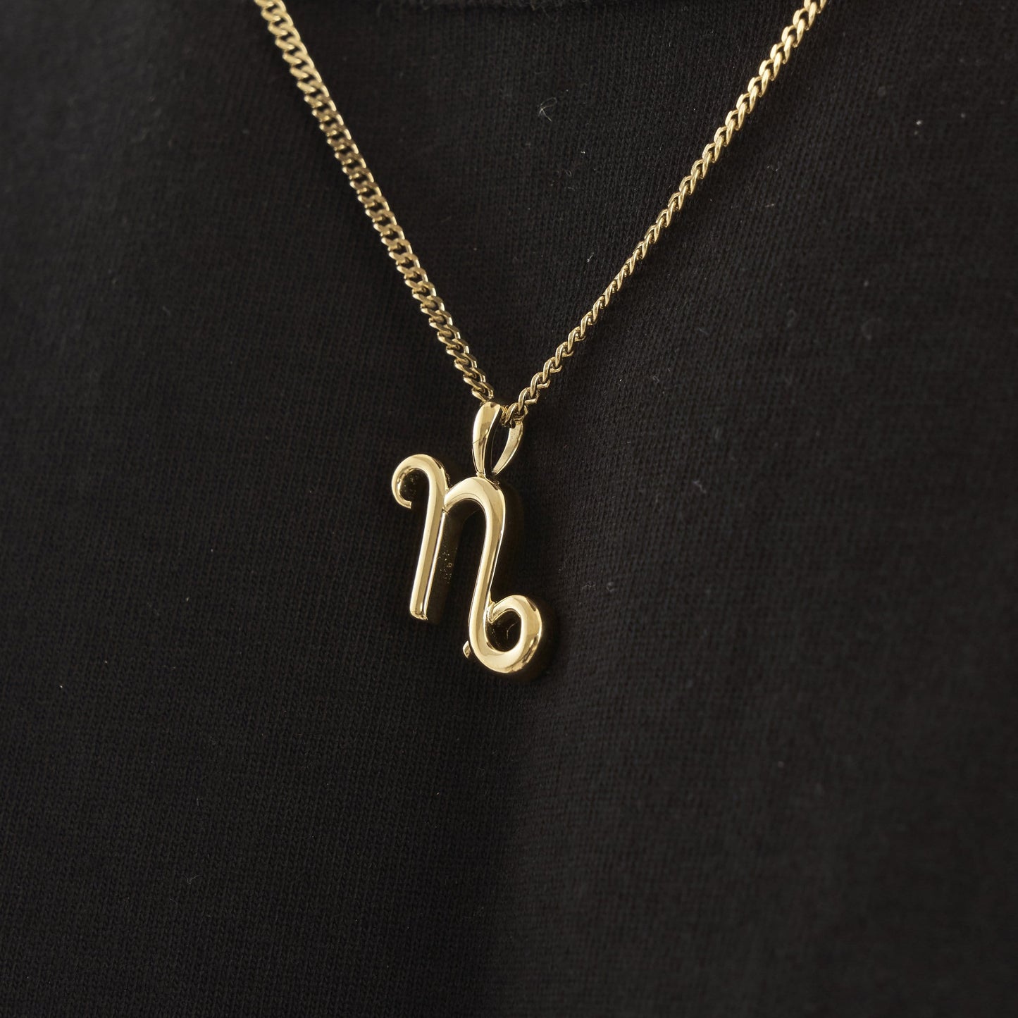 Steenbok (Goud)