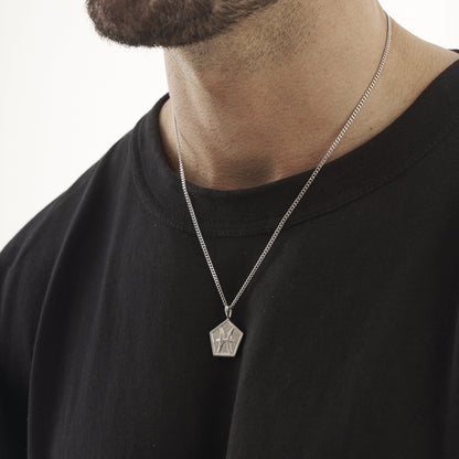 Vissen (Zilver)