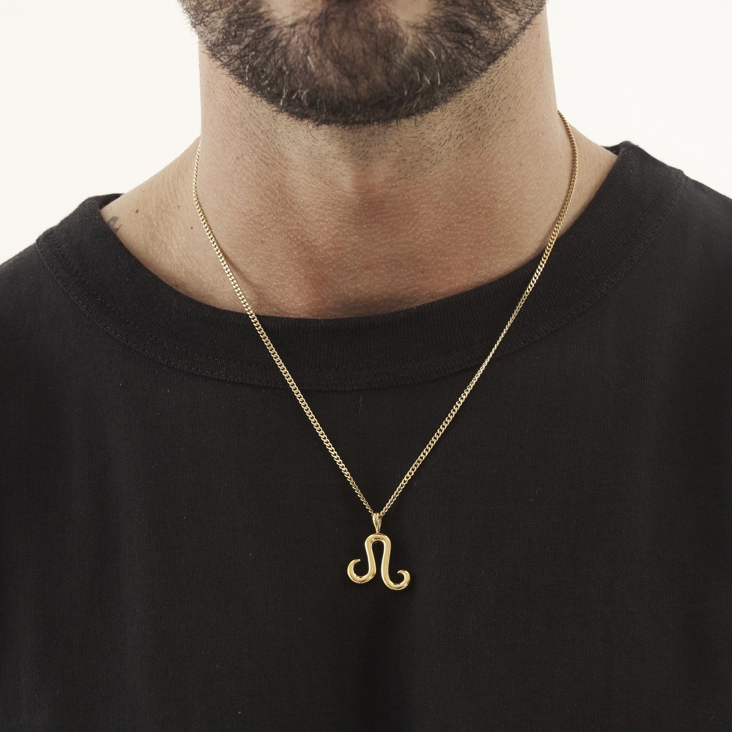 Leeuw (Goud)
