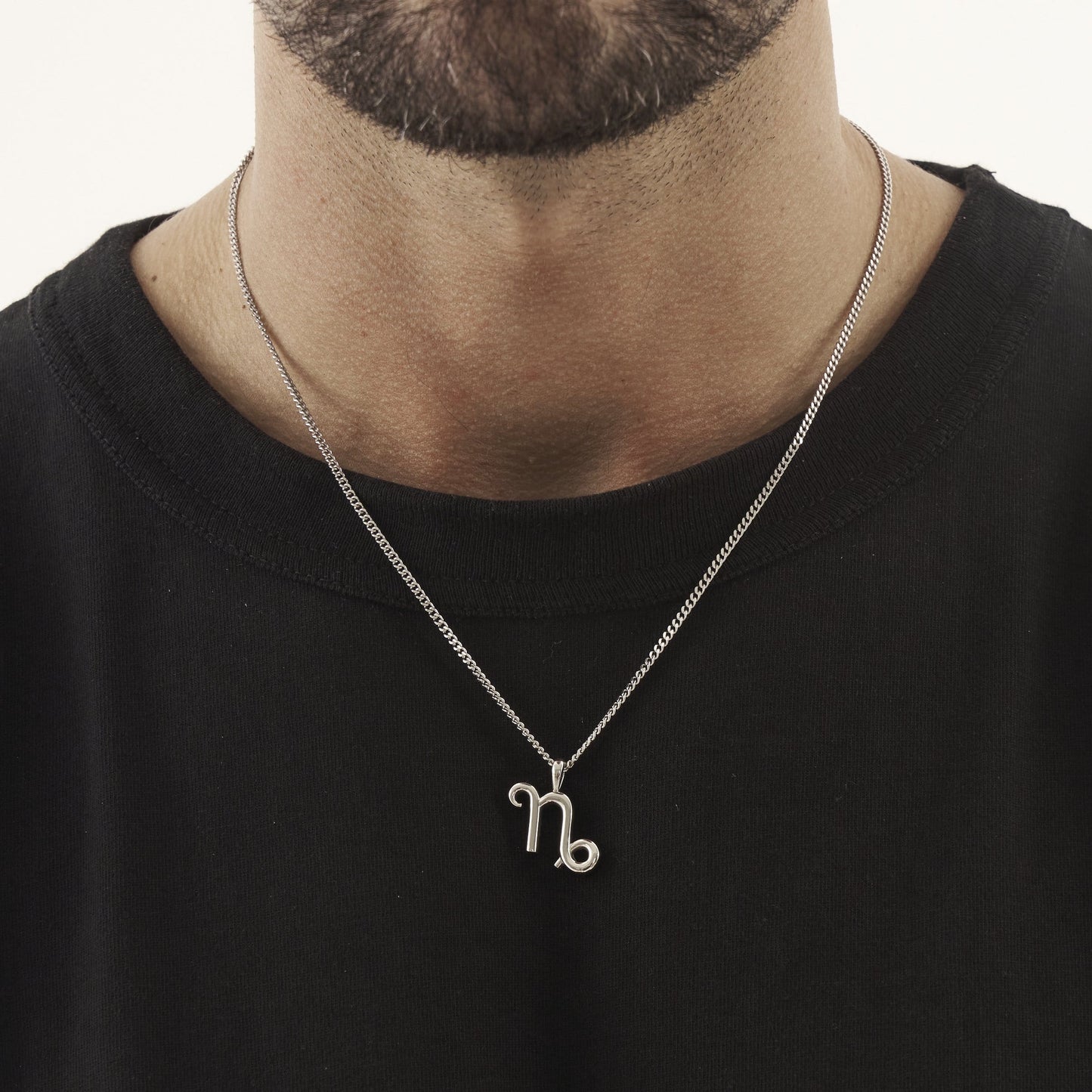 Steenbok (Zilver)