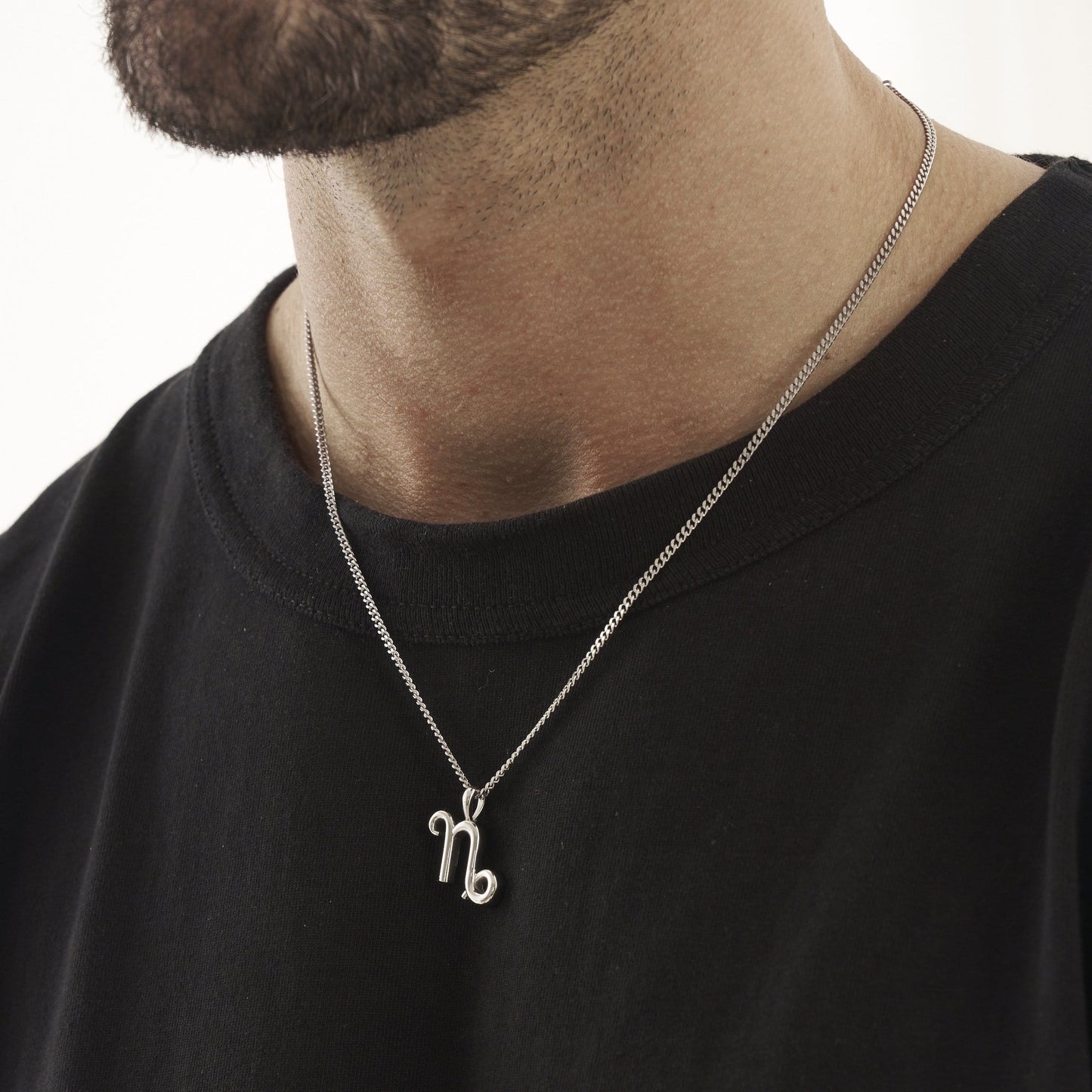 Steenbok (Zilver)