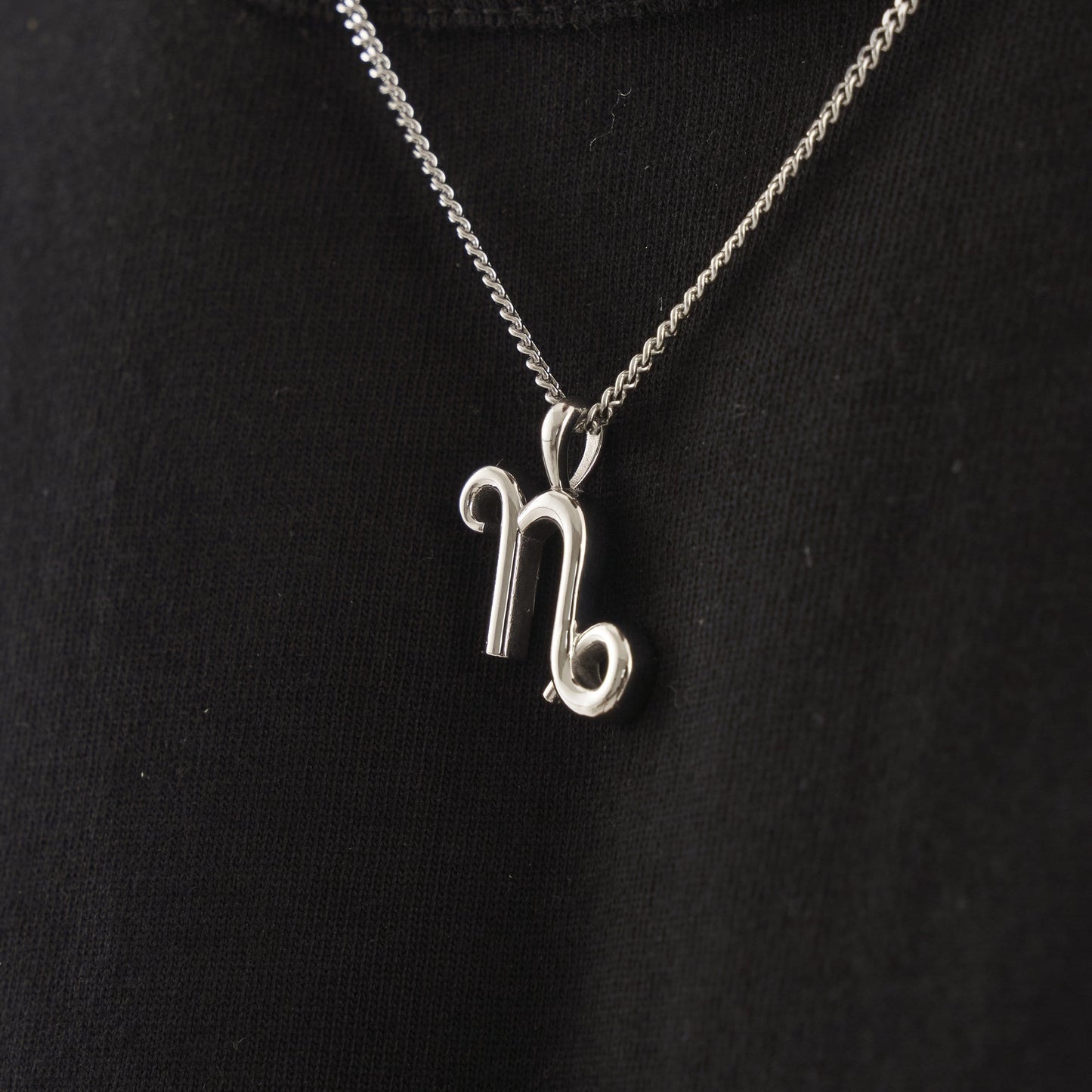 Steenbok (Zilver)