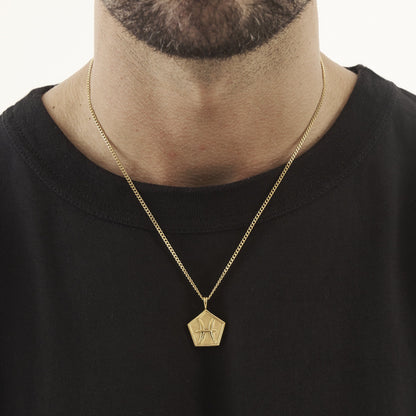 Vissen (Goud)