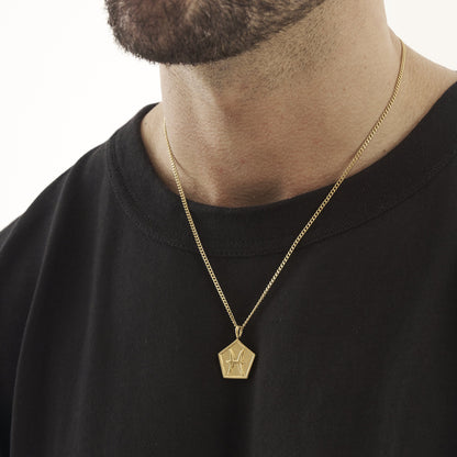 Vissen (Goud)