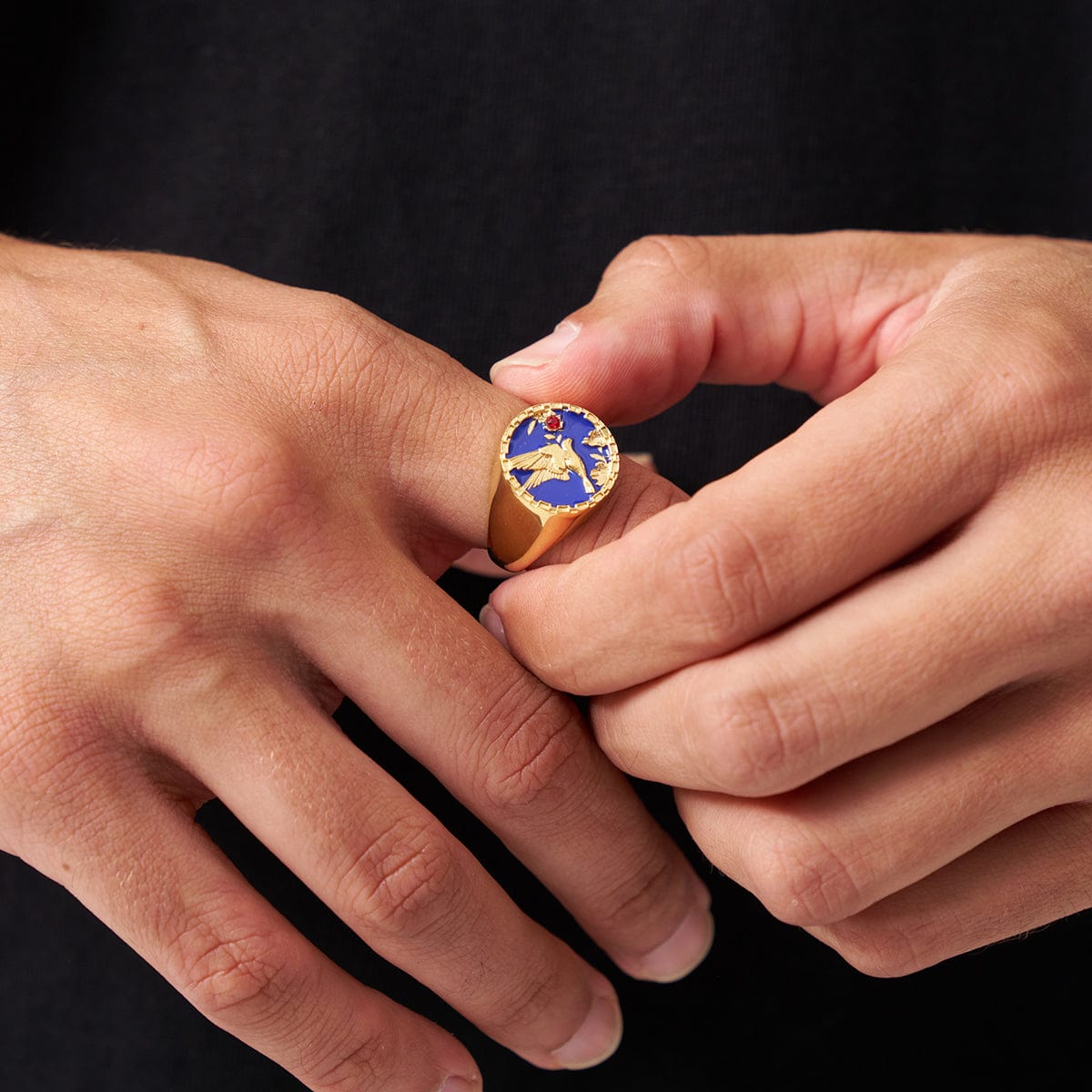 Emaille Zwaluw Signet Ring (Goud)