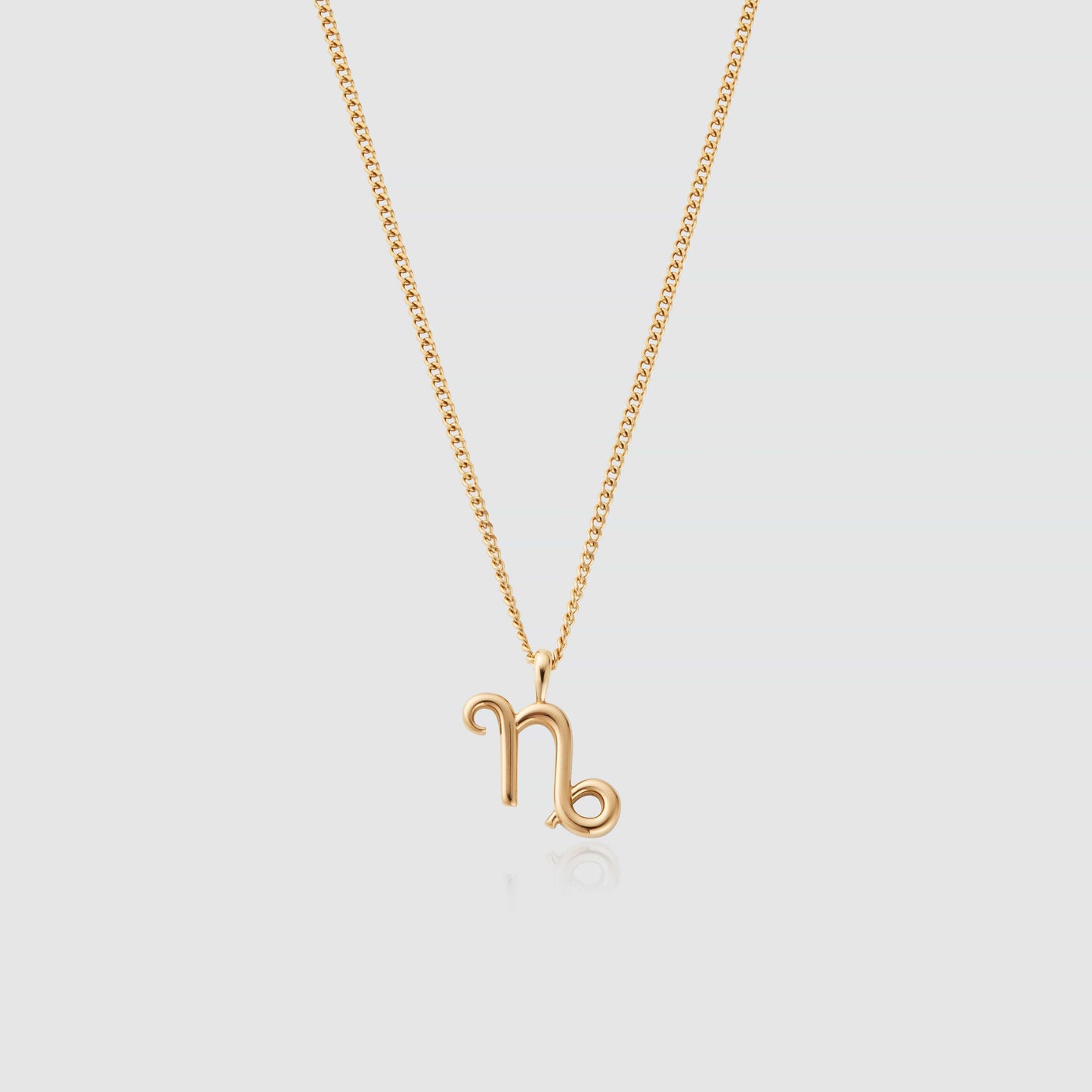 Steenbok (Goud)